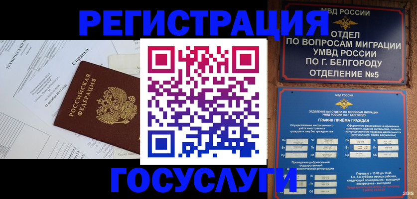 временная прописка в Волоколамске